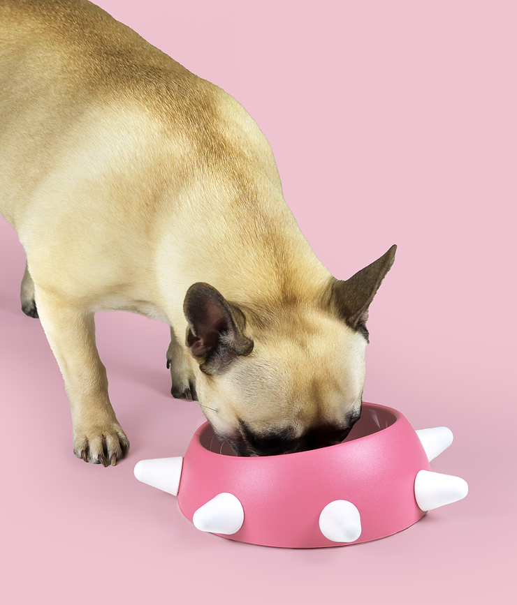 Bol para perro Boss, 500 ml, rosa