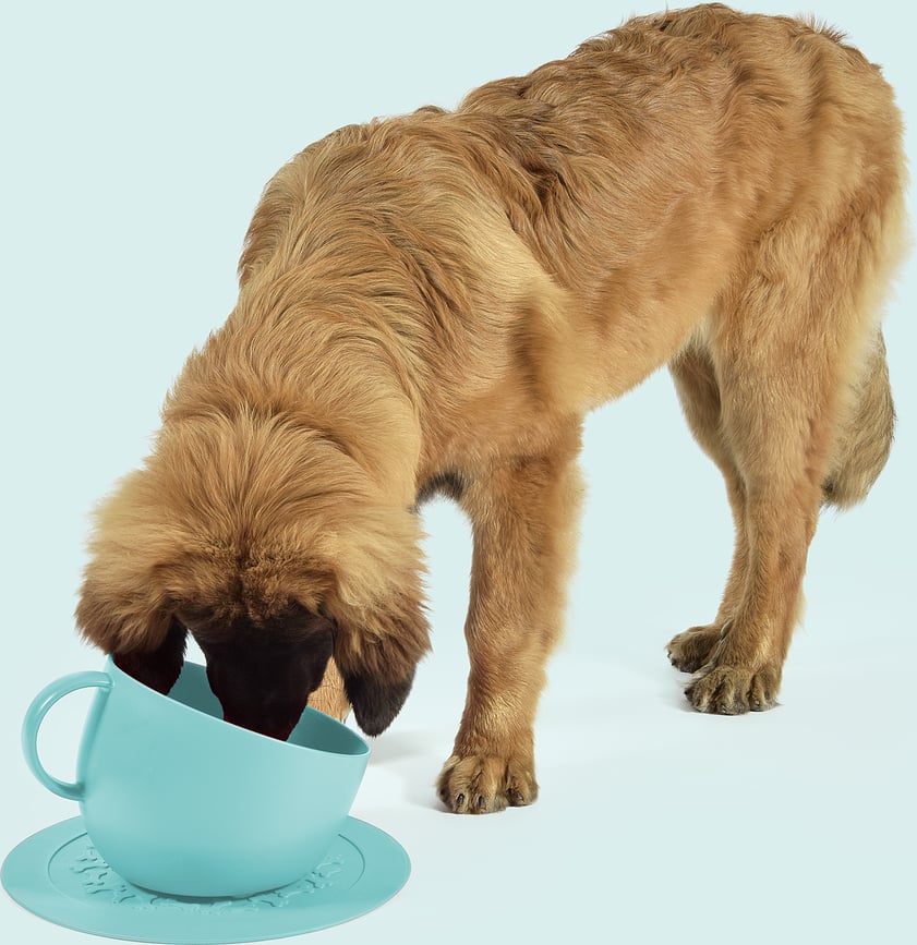 Cup Posuda za psa 2,5 l taupe