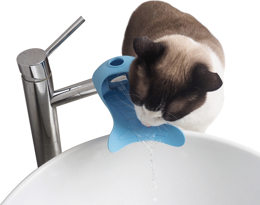Gurgle Fontaine à Eau pour Chats