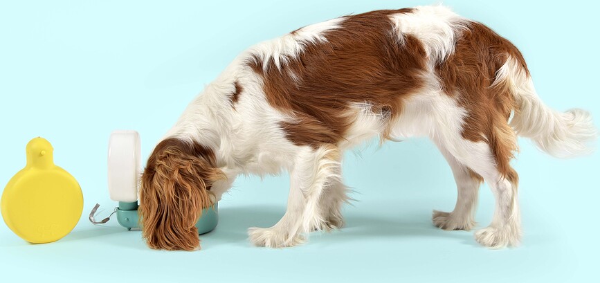 Pingui Μπουκάλι Νερού για Σκύλους, 250 ml, μπλε