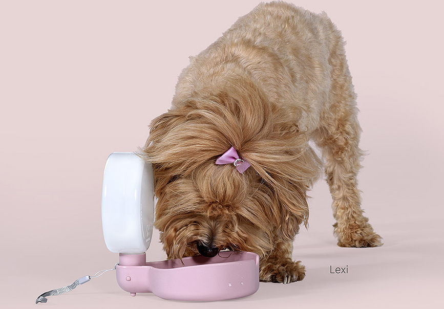 Pingui Steklenička za vodo za pse, 250 ml, modra