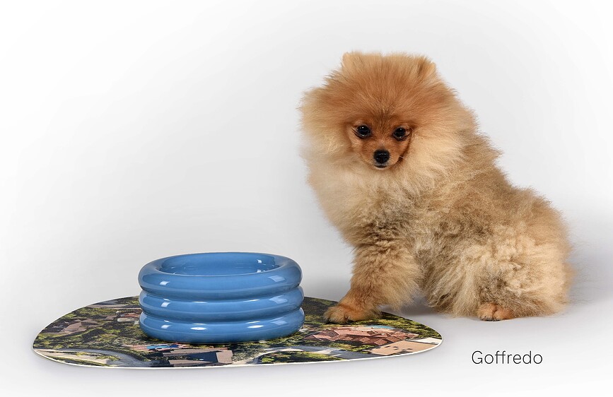 Seletti DoggyMood Gamelle 300 ml