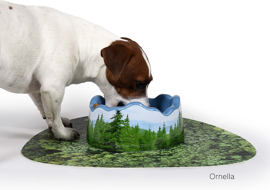 Seletti Les Alpes Gamelle pour Chien, 500 ml