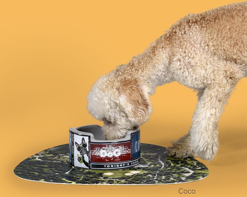 Seletti New York Gamelle pour Chien, 300 ml