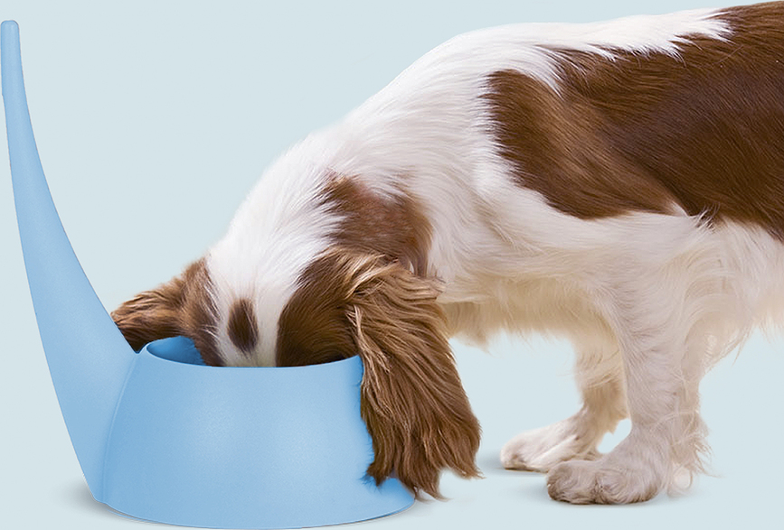 Tail Gamelle pour Chien 750 ml, taupe