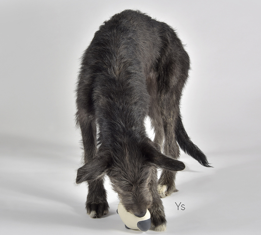 United Pets Tato Jouet pour Chien, souris