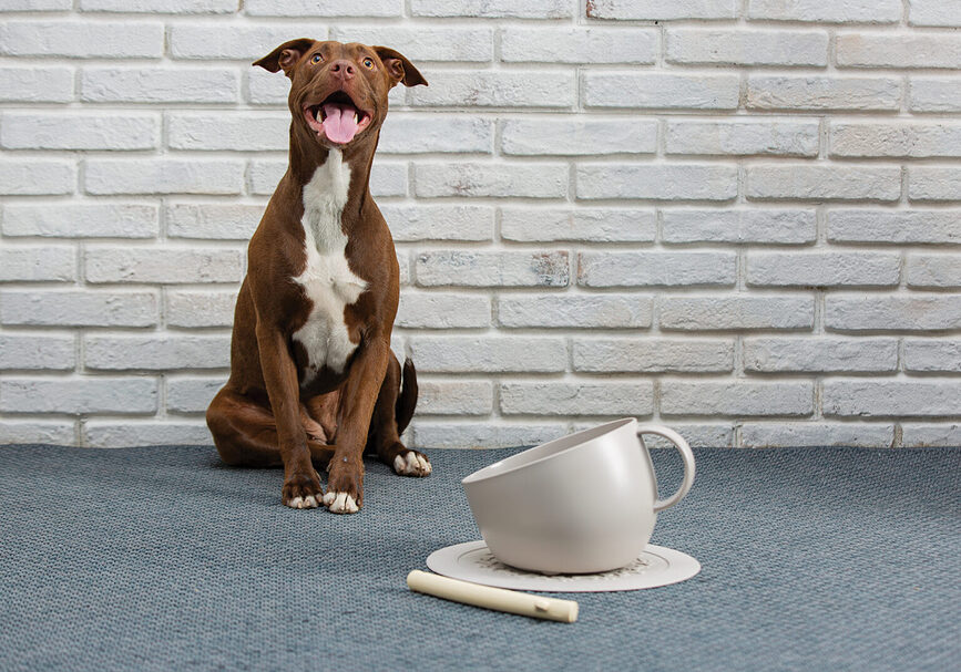 United Pets Podloga za zdjelu za pse i mačke 35,5 cm taupe