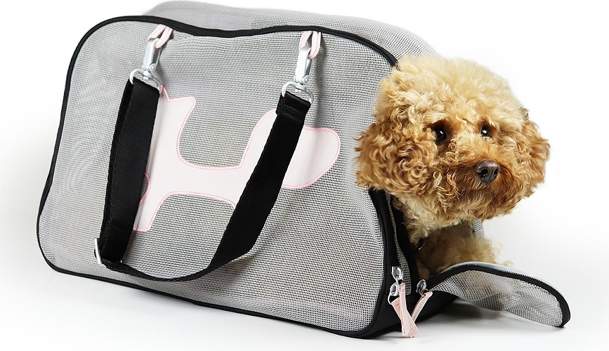 United Pets Sac de transport pour chien ou chat, noir et vert