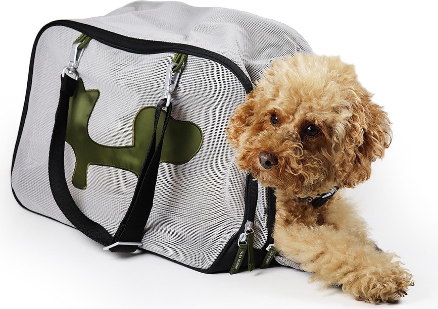 United Pets Torba transportna za psa ali mačko, črno-zelena