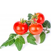 Accesoriu cu semințe Lingot mini legume roșii cherry