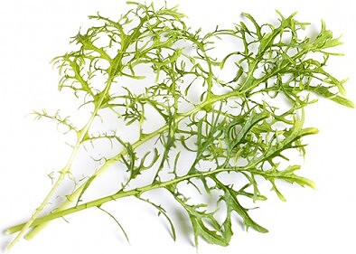 Cápsula de Semillas Lingot, Mostaza Golden Frills, verdura de hoja