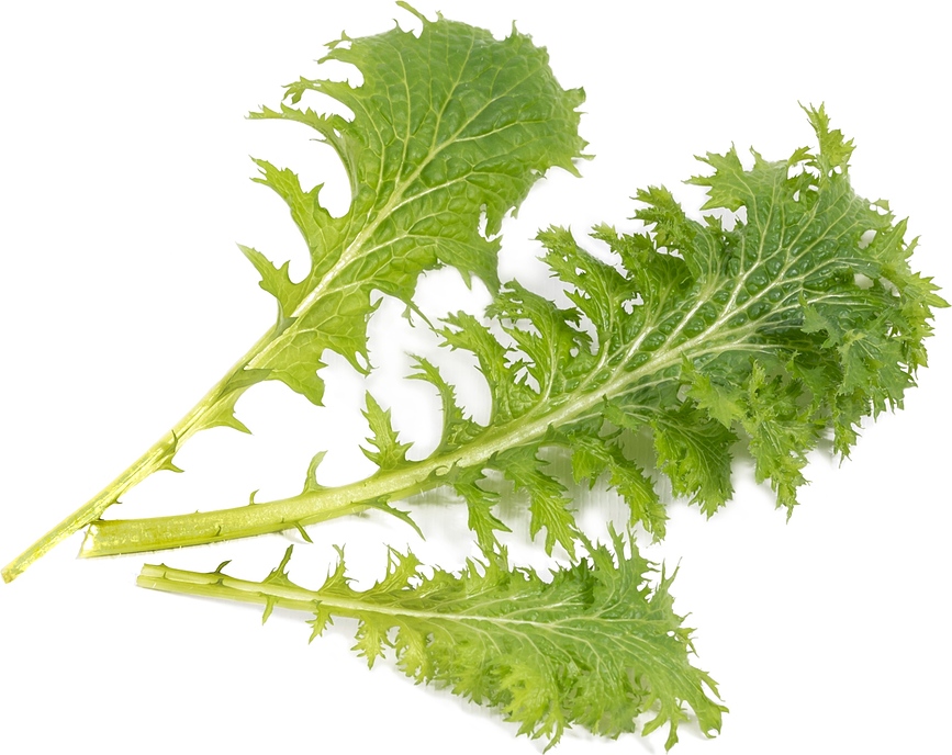 Cápsula de semillas Lingot, Sabores de Asia