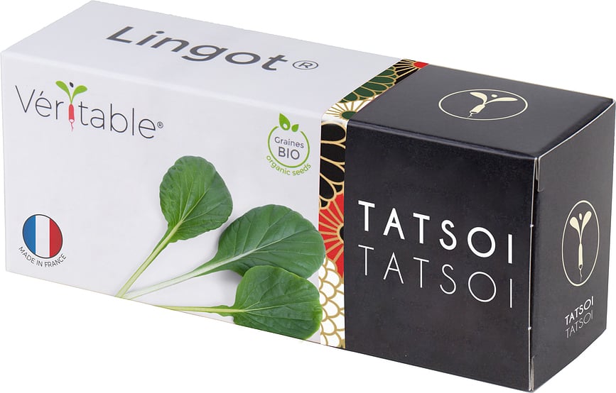 Recambio de semillas Lingot, Mostaza Wasabi, colección Sabores de Asia