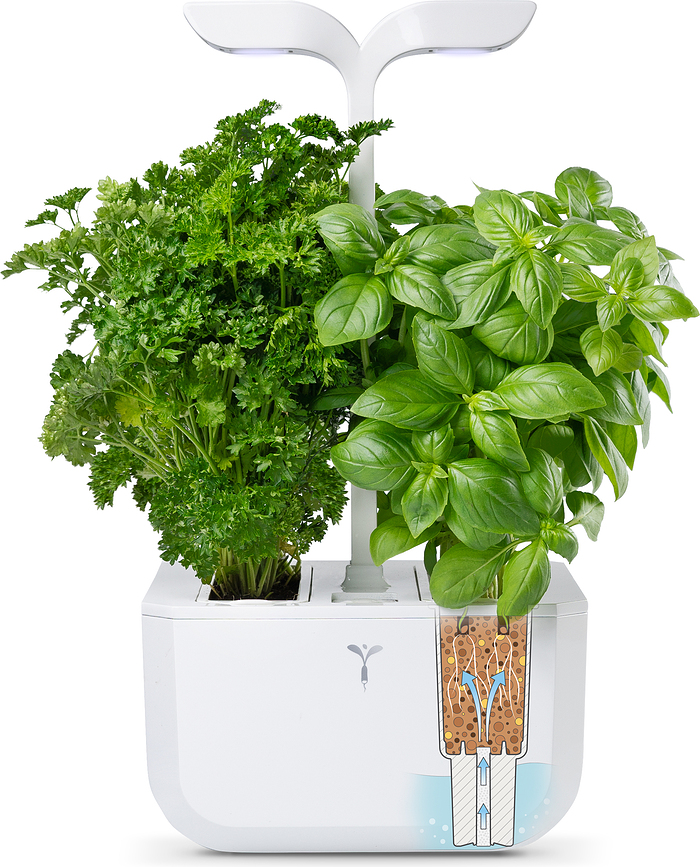 Huerto Urbano inteligente Veritable Exky Classic