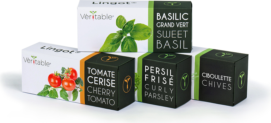 Lingot Recharge Pensées, fleurs comestibles