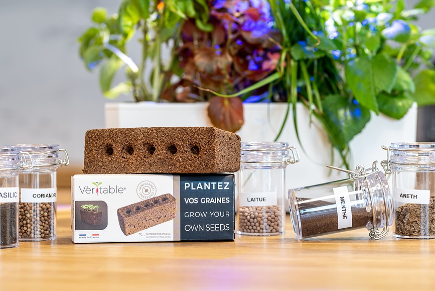 Lingot Recharge de Graines vierge, à semer soi-même