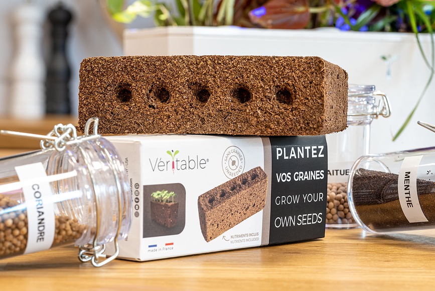 Lingot Recharge de Graines vierge, à semer soi-même