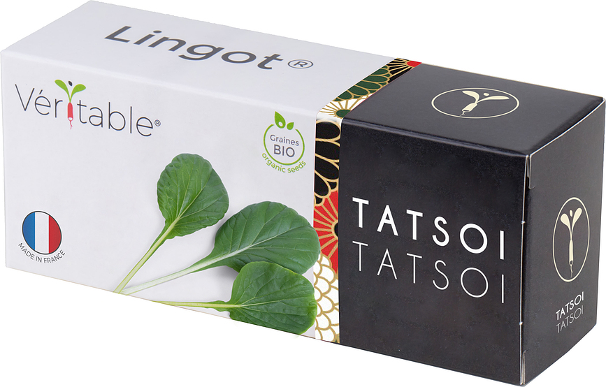 Lingot Uložak sa Sjemenom Wasabi Gorušica azijski okusi