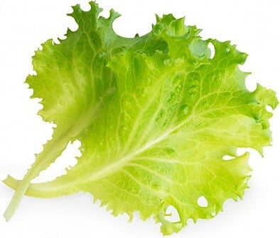 Lingot Uložak sa sjemenom lisnato povrće