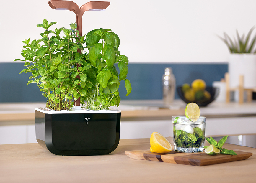 Huerto de Interior inteligente Veritable Exky Smart, negro Soft Black