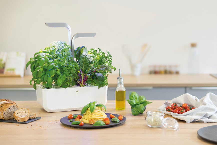 Maceta Veritable Classic