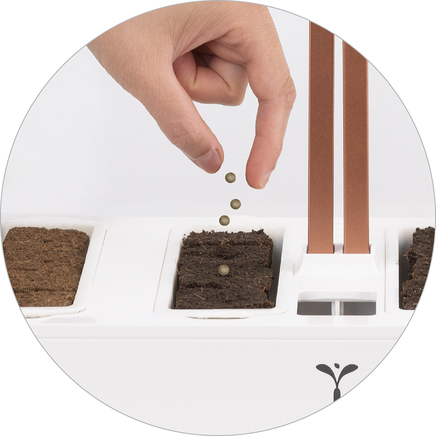 Recambio para Kit de Cultivo Veritable, 30 piezas