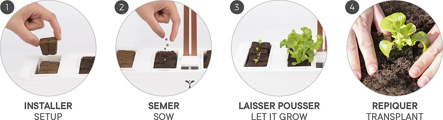 Recambio para Kit de Cultivo Veritable, 30 piezas