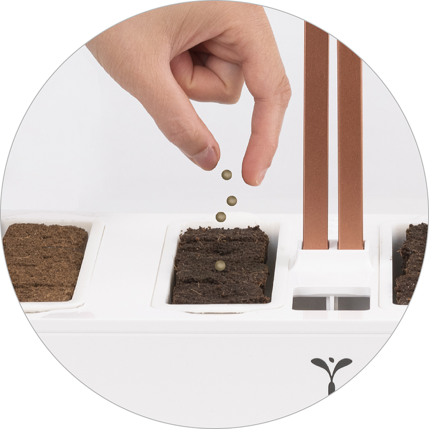 Set de cultivo para plantas Veritable, Set de 24 piezas