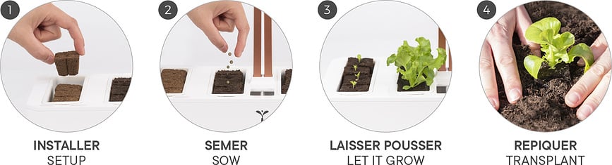 Set de cultivo para plantas Veritable, Set de 24 piezas