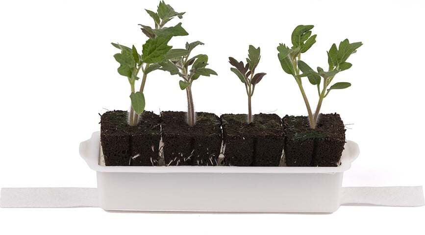Set de cultivo para plantas Veritable, Set de 24 piezas