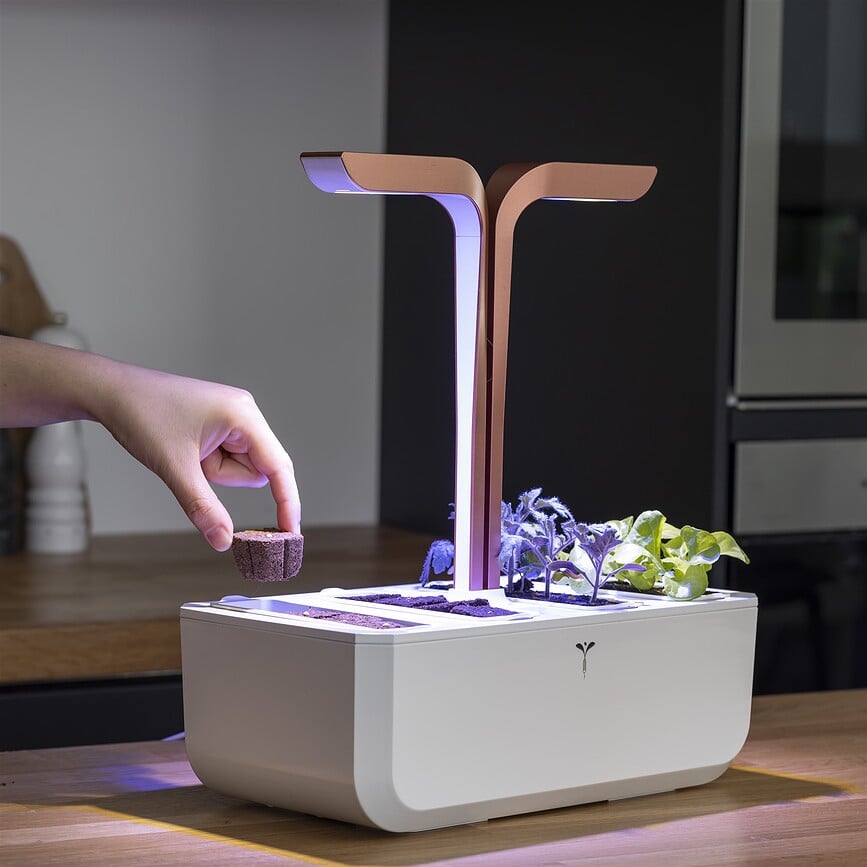 Set de cultivo para plantas Veritable, Set de 24 piezas