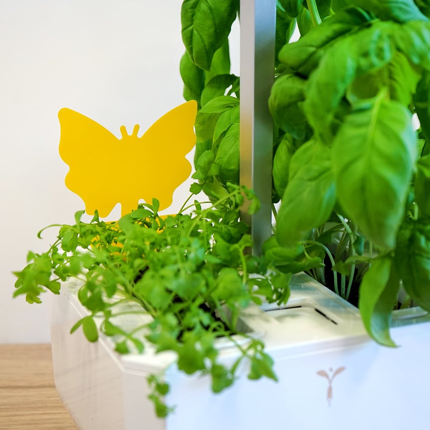 Trampas Adhesivas Veritable, amarillas, 8 unidades