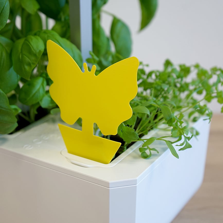 Trampas Adhesivas Veritable, amarillas, 8 unidades