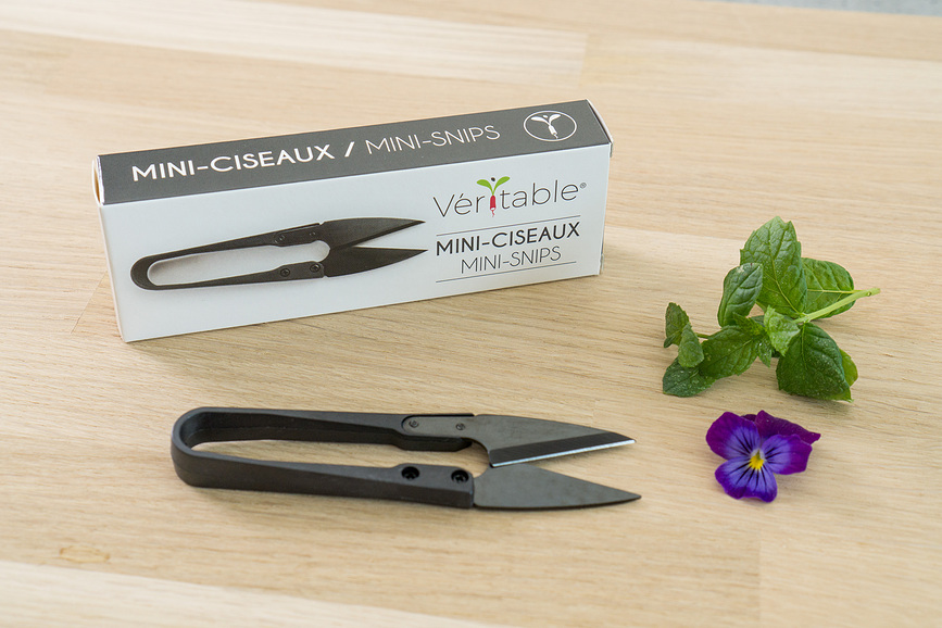 Veritable Ciseaux à herbes mini