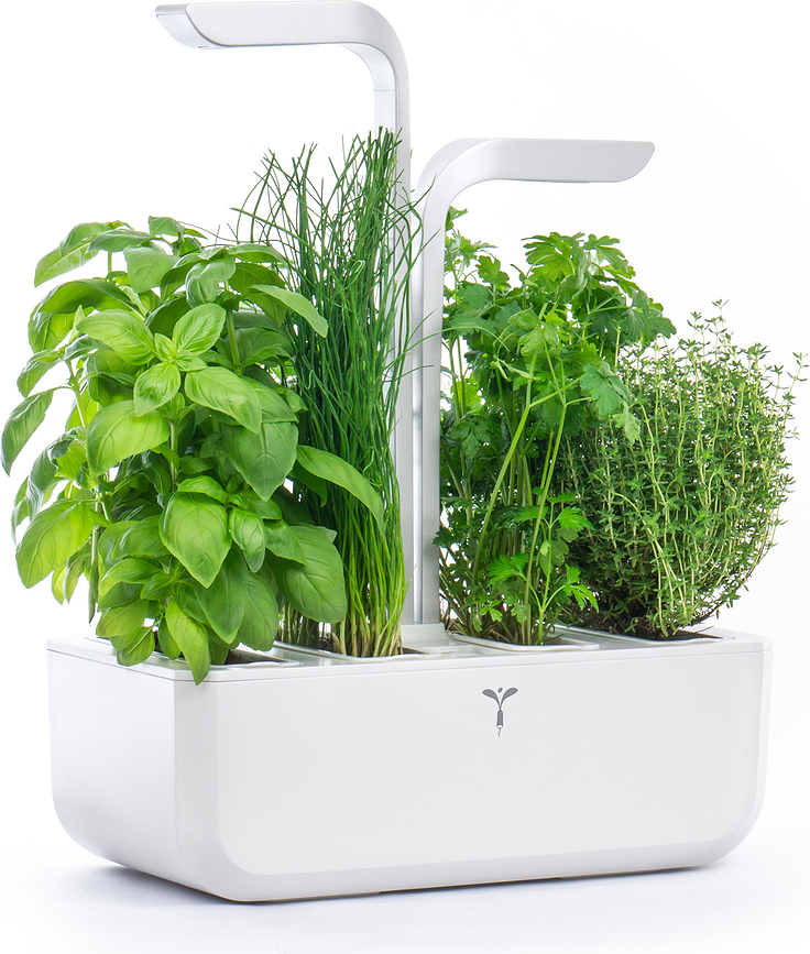 Veritable Classic Pot