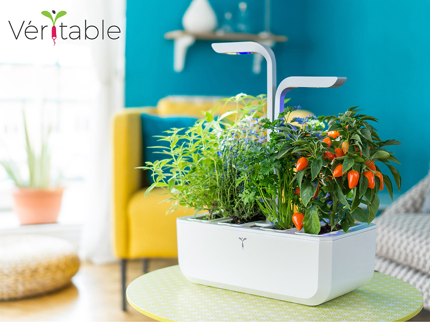 Veritable Classic Pot