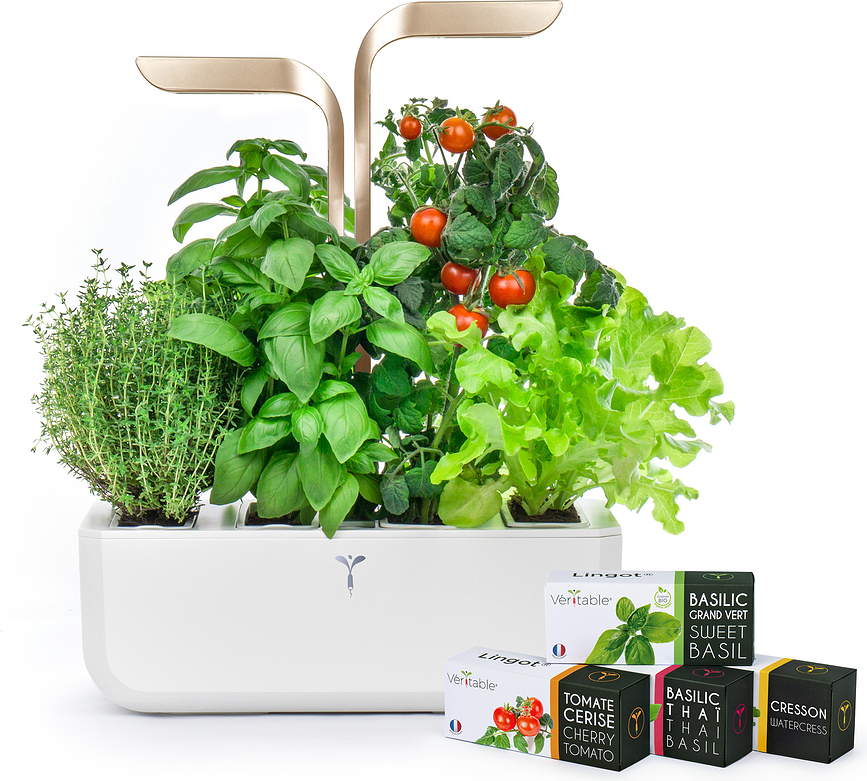 Veritable Connect Pot, Moonlight Gold