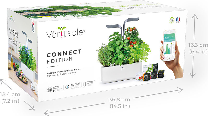 Veritable Connect Pot, Moonlight Gold