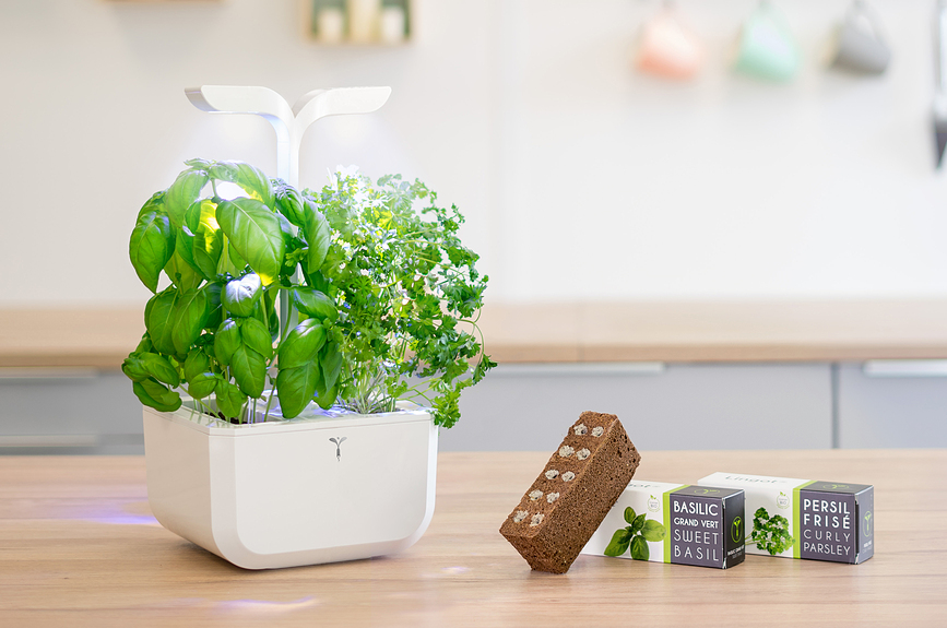 Veritable Exky Classic Potager d'intérieur