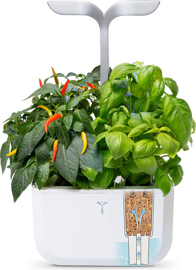 Veritable Exky Smart Potager d'intérieur, blanc arctique