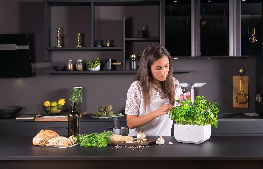 Veritable Exky Smart Potager d'intérieur, blanc arctique