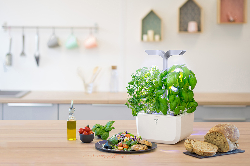 Veritable Exky Smart Potager d'intérieur, blanc arctique