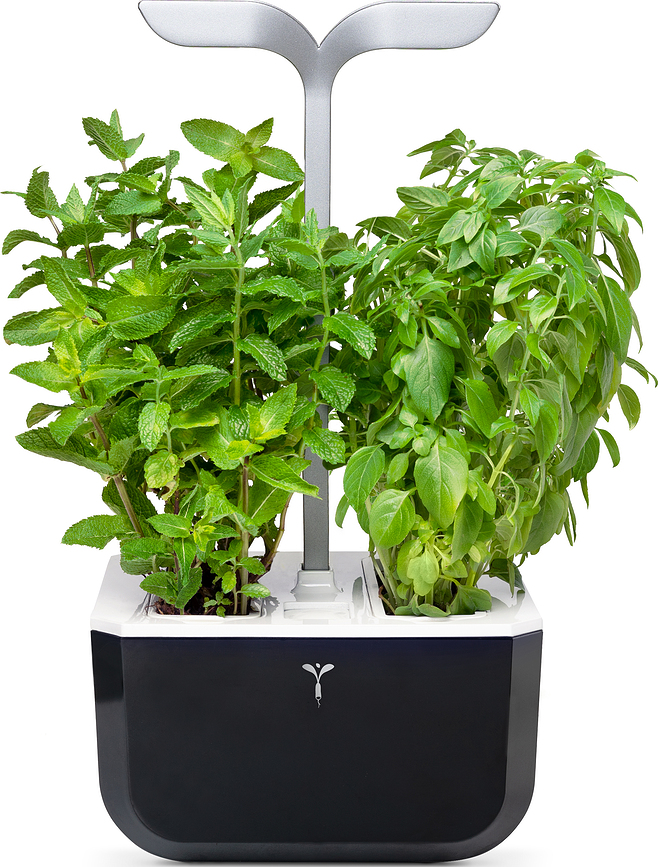 Veritable Exky Smart Soft Black Potager d'Intérieur