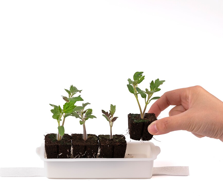 Veritable Kit de Plantation, Set 24 pièces