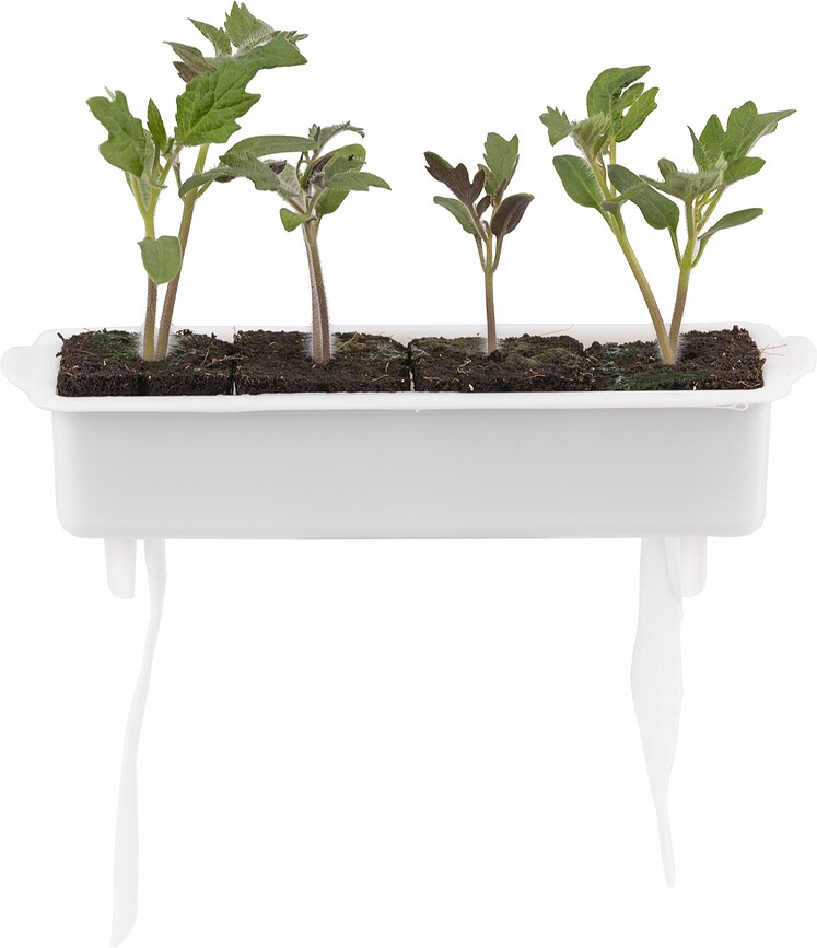 Veritable Kit de Plantation, Set 24 pièces