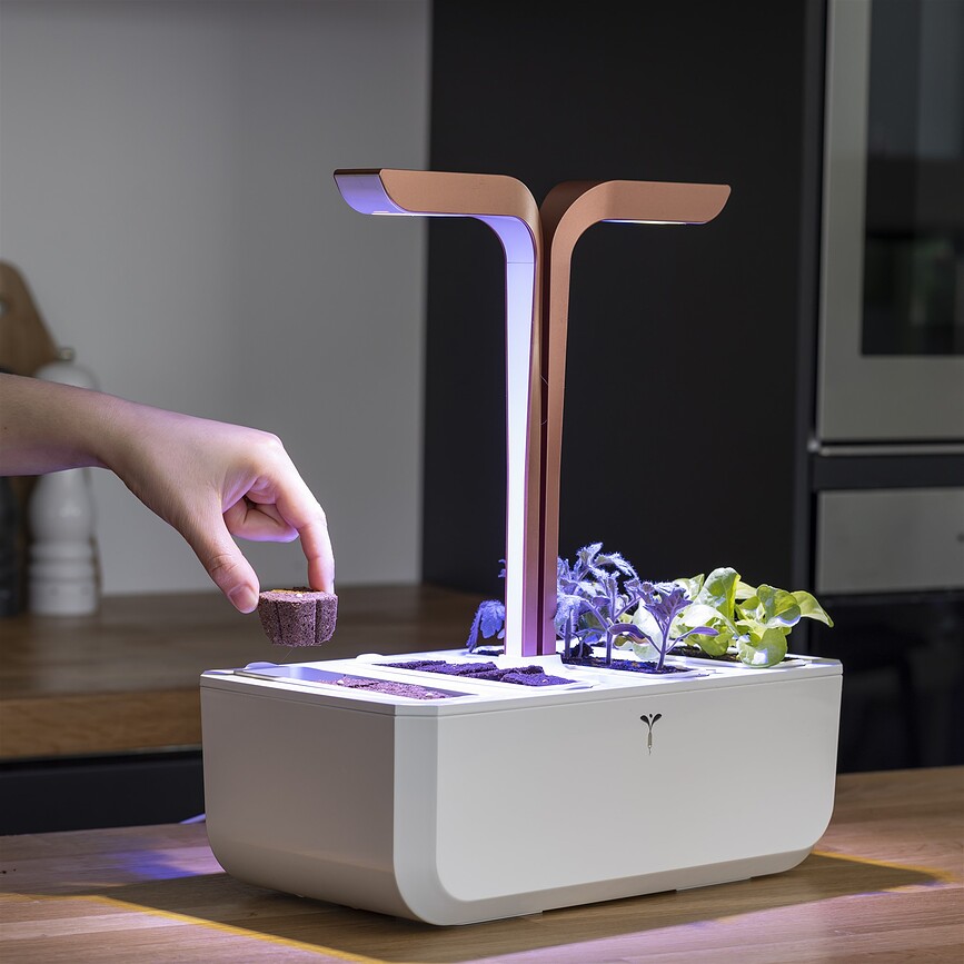 Veritable Recharge pour culture, Set 30 pièces