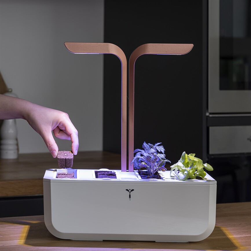 Veritable Set za sajenje rastlin, dopolnilo, 30 kosov