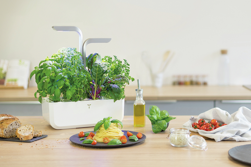 Veritable Smart Γλάστρα, αρκτικό λευκό