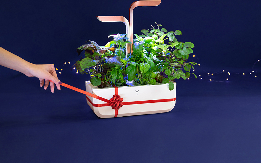 Veritable Smart Potager d'intérieur intelligent, blanc arctique