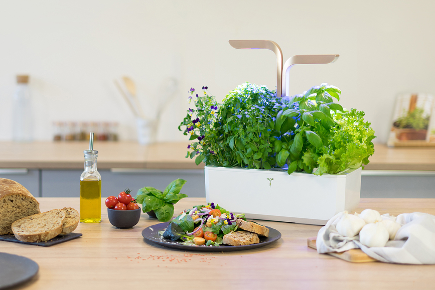 Veritable Smart Potager d'intérieur intelligent, blanc arctique